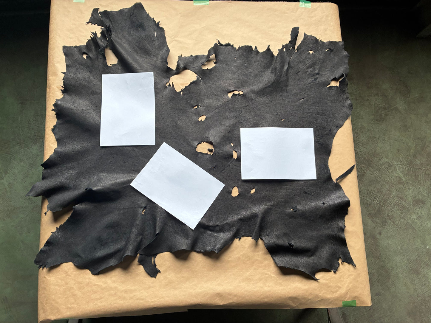 熊革(K_001)