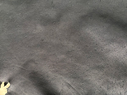 熊革(K_001)