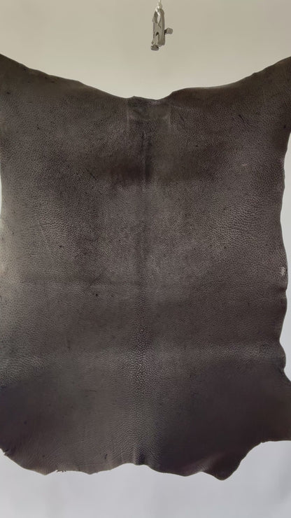 A007_5.MOV