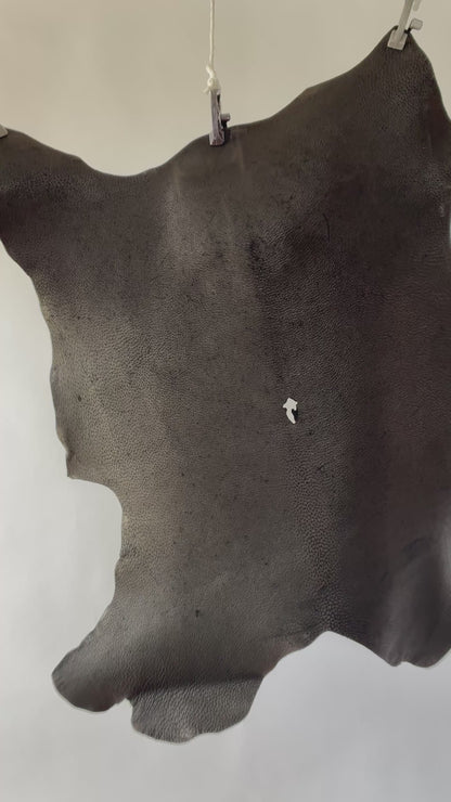 A005_5.MOV