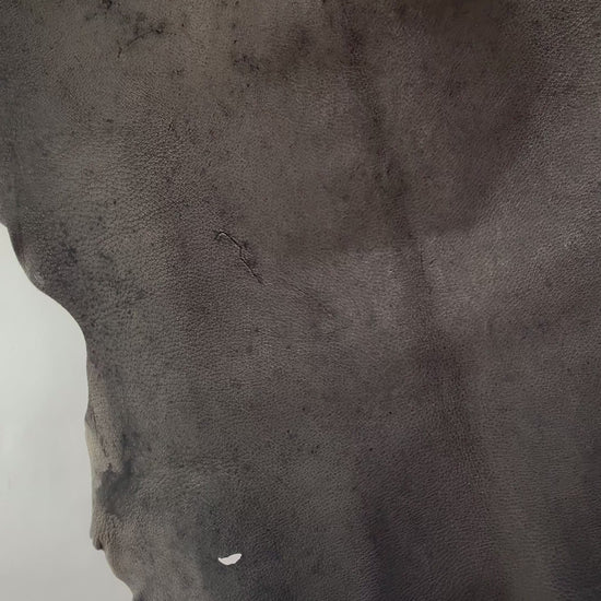 A004_5.MOV