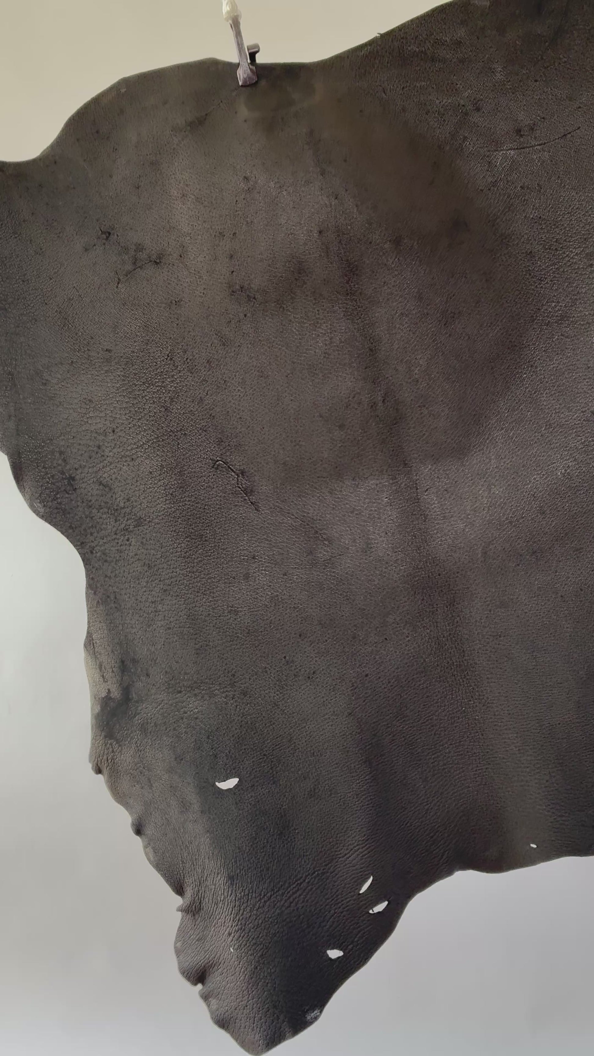 A004_5.MOV