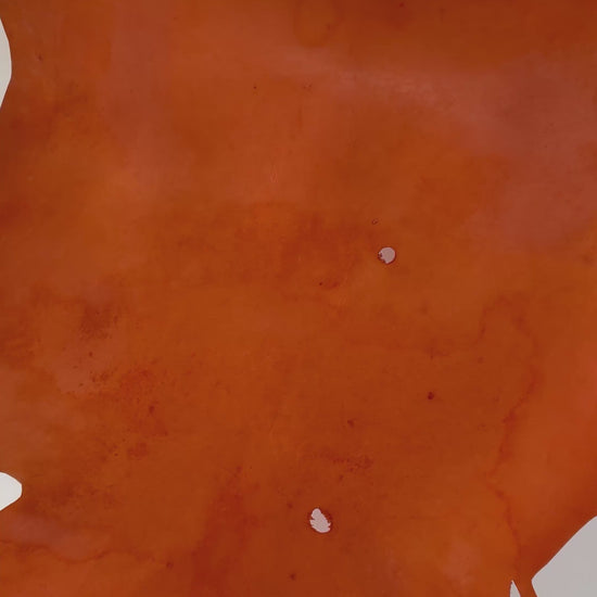 B026_5.MOV